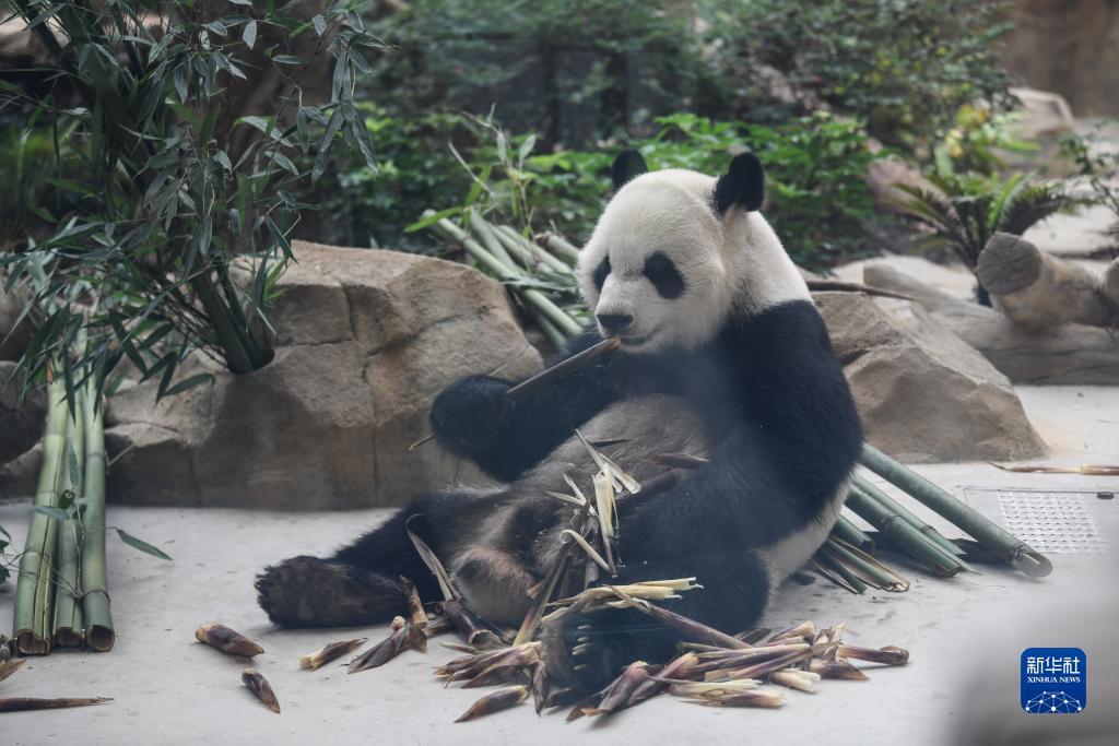恒达娱乐代理
